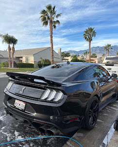 Black Mustang detail